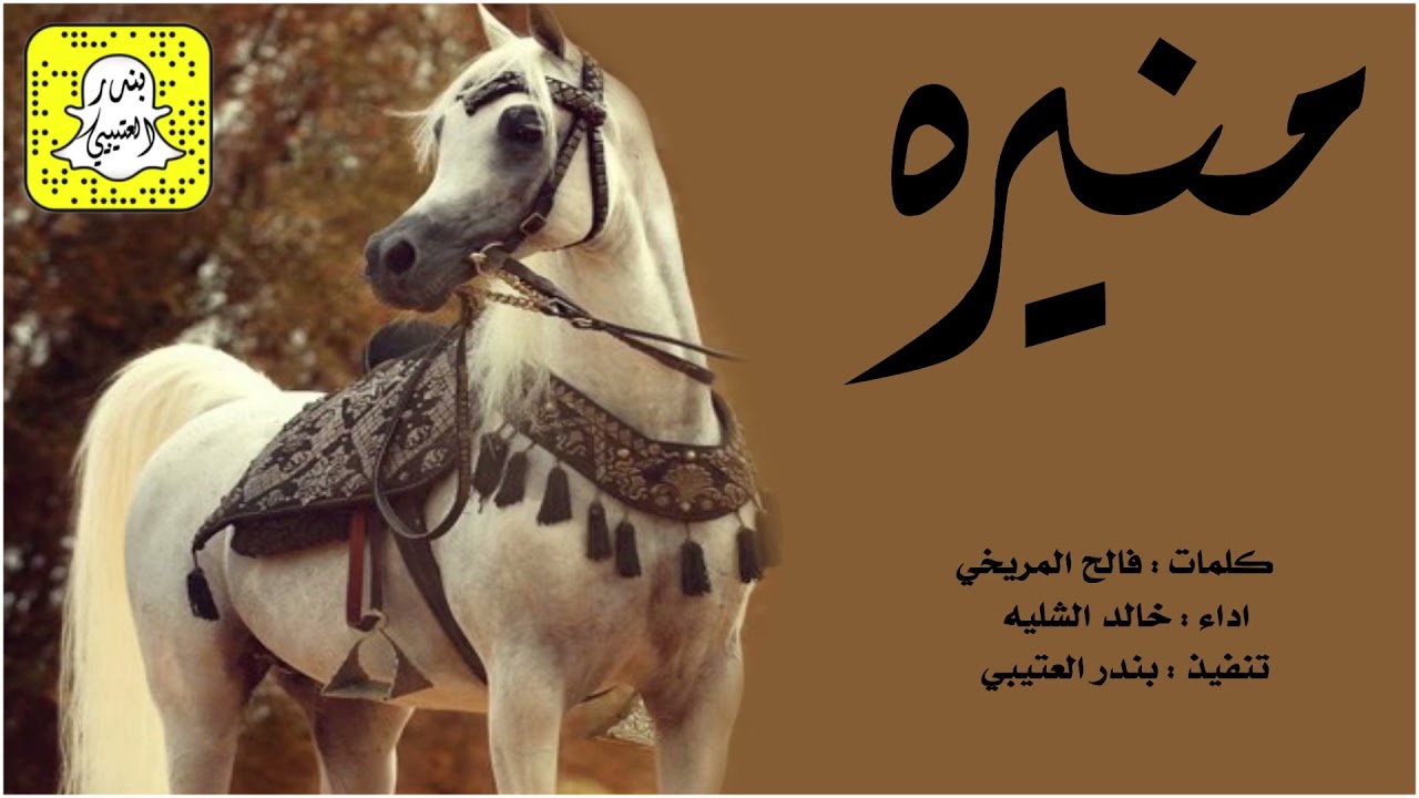 شيلة منيره اداء خالد الشليه 2021 حصرياً