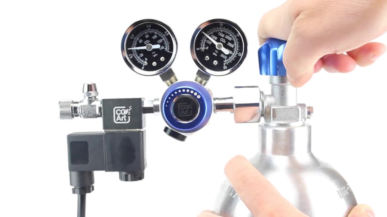 Aquarium Regulator Leakage Detection Procedure