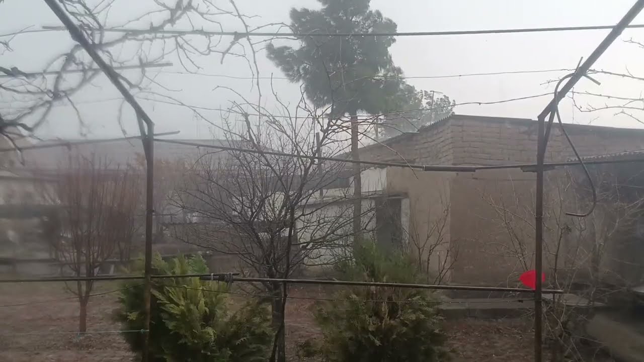 The Most Insane Thunderstorm Ever⚡️🌧️ #naturesounds  #rainsounds #sleepsounds