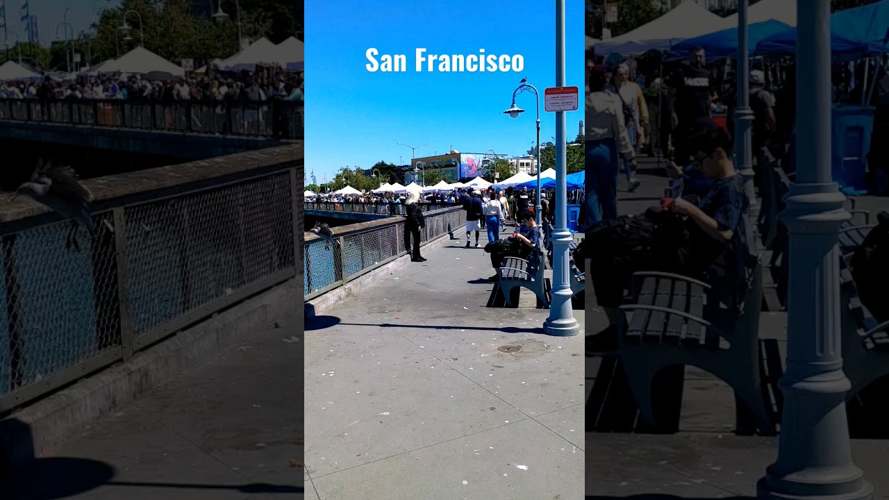 beautiful San Francisco - typical weekend crowd at pier 43