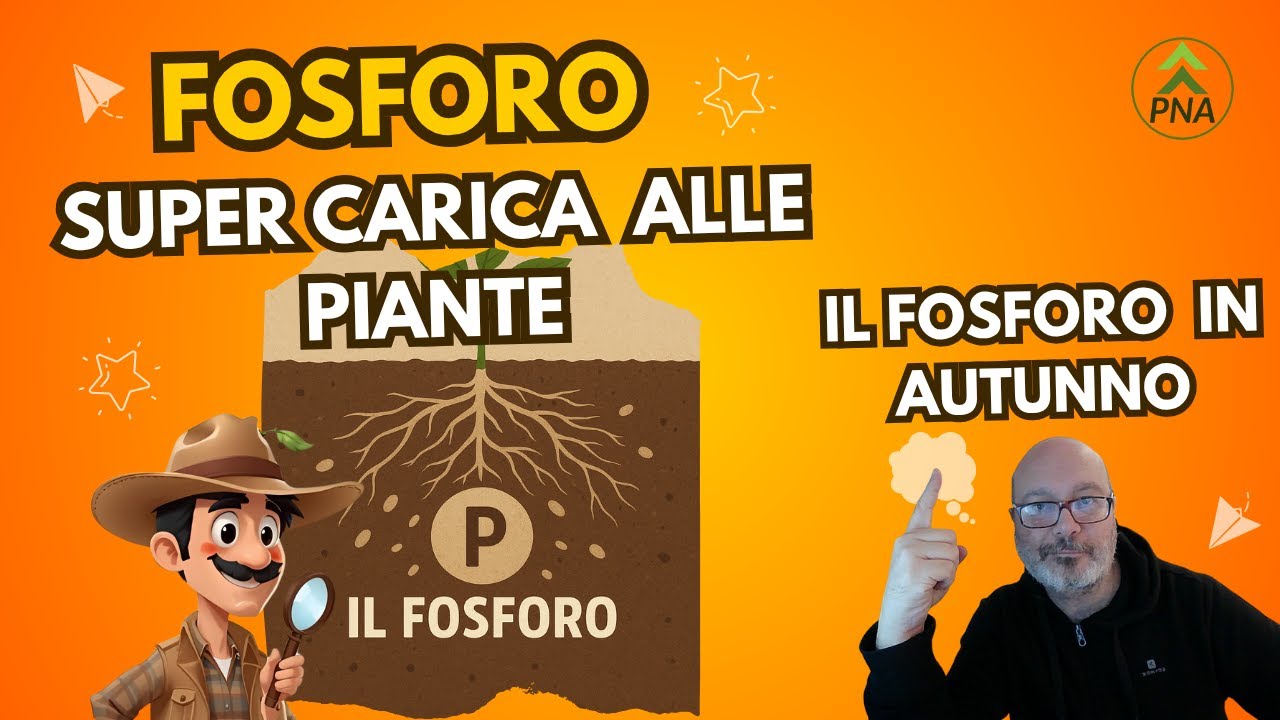 Autunno: Gli errori da evitare con il fosforo nelle piante!