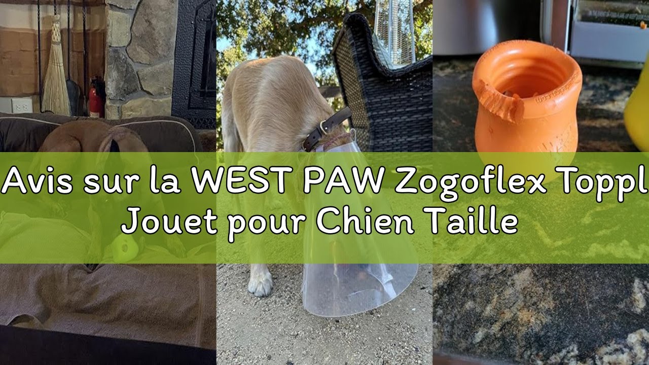 Avis sur la WEST PAW Zogoflex Toppl Jouet pour Chien Taille L Tangerine Orange