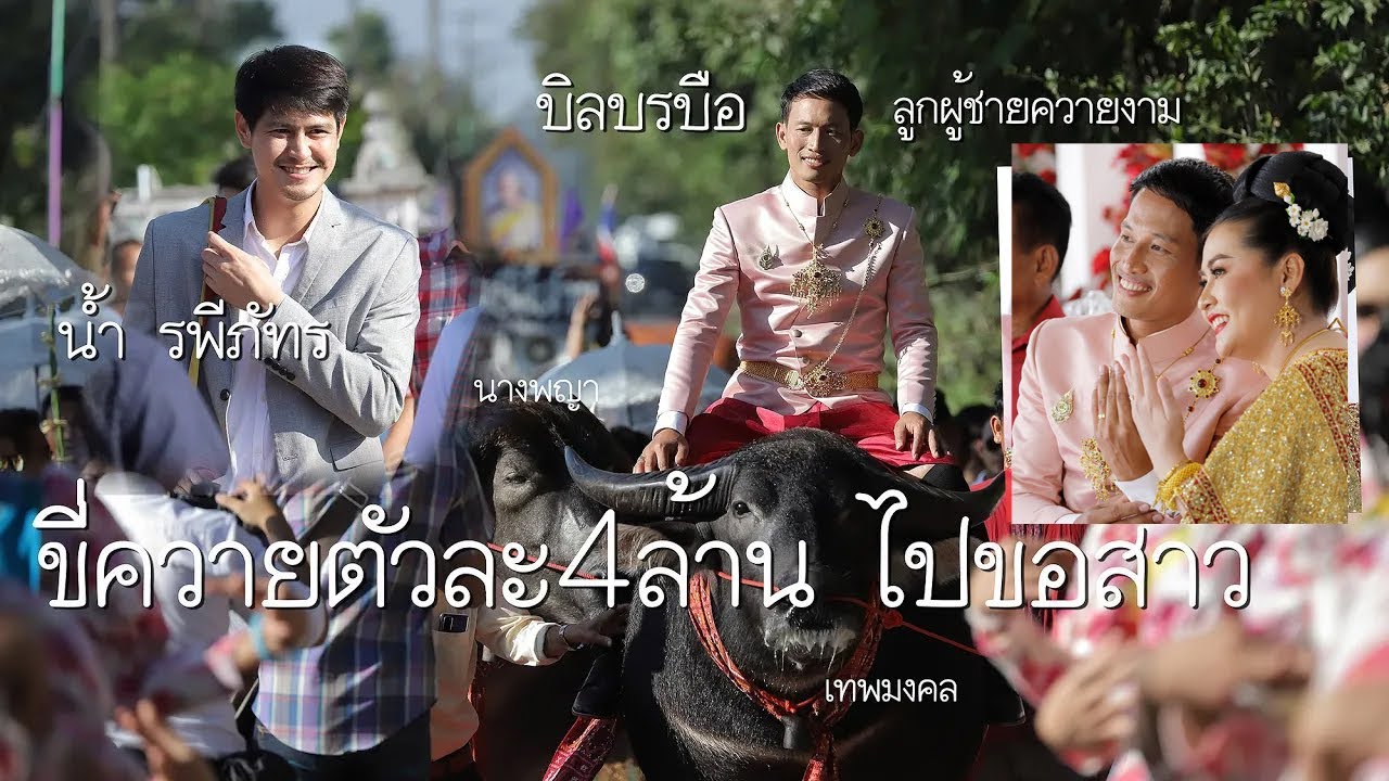 ขี่ควายตัวละ4ล้านไปขอสาว งานแต่ง น้องหญิง&บิลบรบือ (ลูกผู้ชายควายงาม)