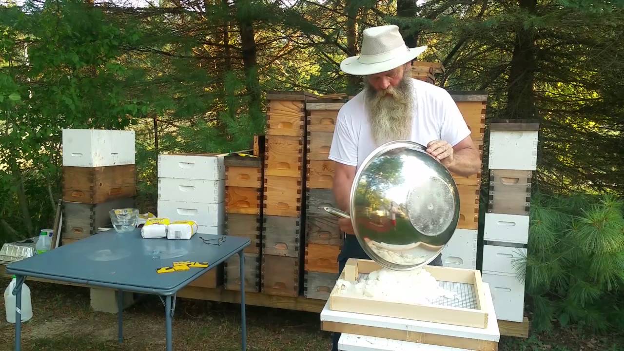 How to Prepare Your Bees for Winter - Candy boards and Preparing your Hive