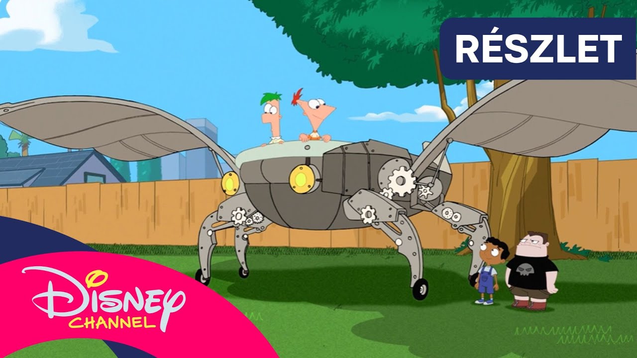 🛩️ Chupacabra | Phineas és Ferb | Disney Csatorna