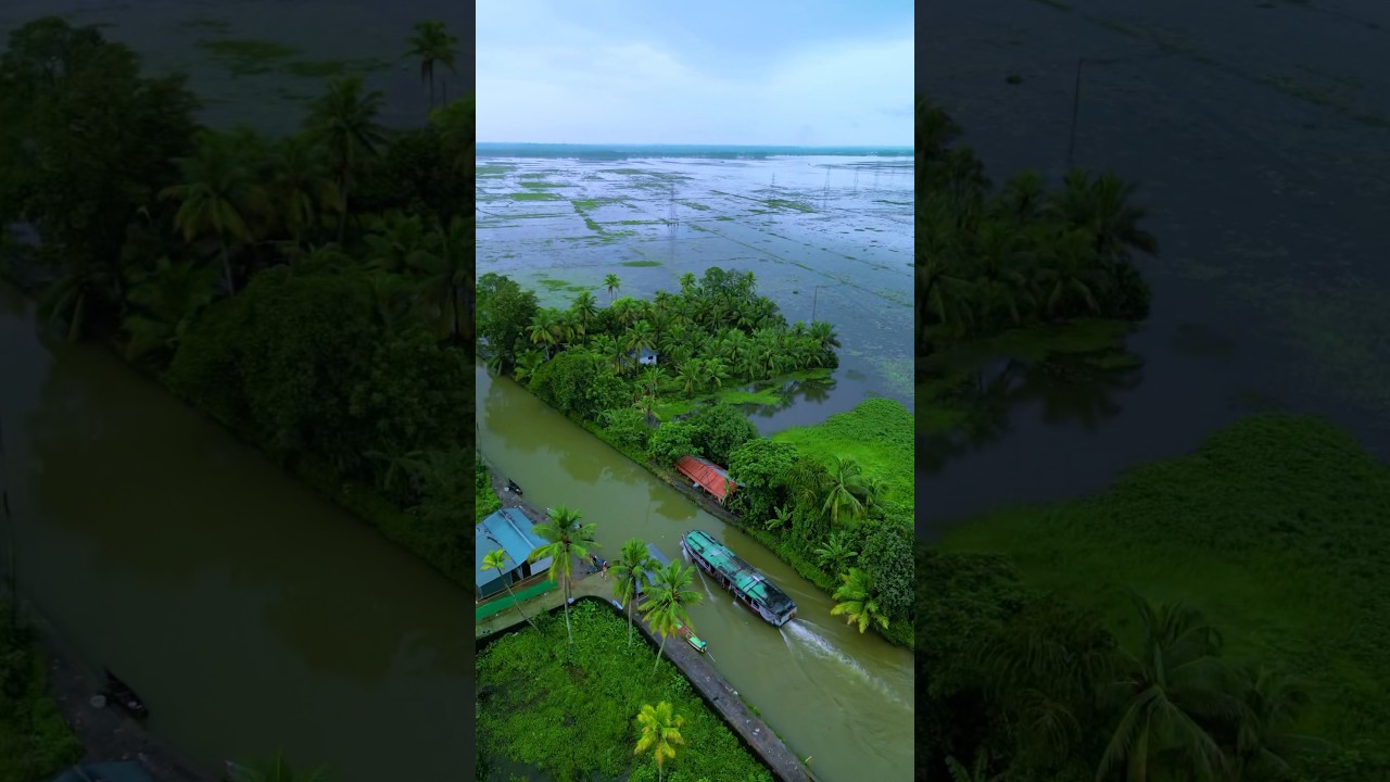 Beautiful kerala kottayam backwater #travel #Kottayam #kerala #love #music