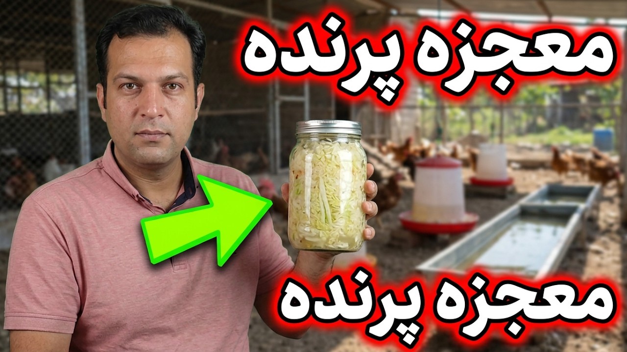 آموزش درست کردن مولتی ویتامین و مواد معدنی و پروبیوتیک ارزان و ارگانیک
