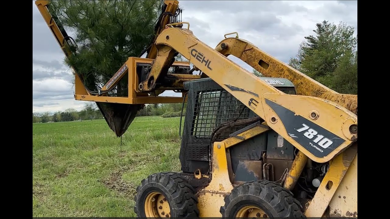 How to Transplant Trees QUICK & EASY Gehl 7810 Skid Steer Vs Case IH 75A with Dirtworks Tree Spade