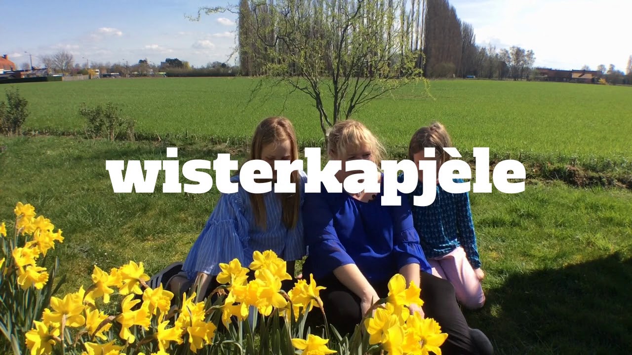 Lieve westvlaandert in Gullegem