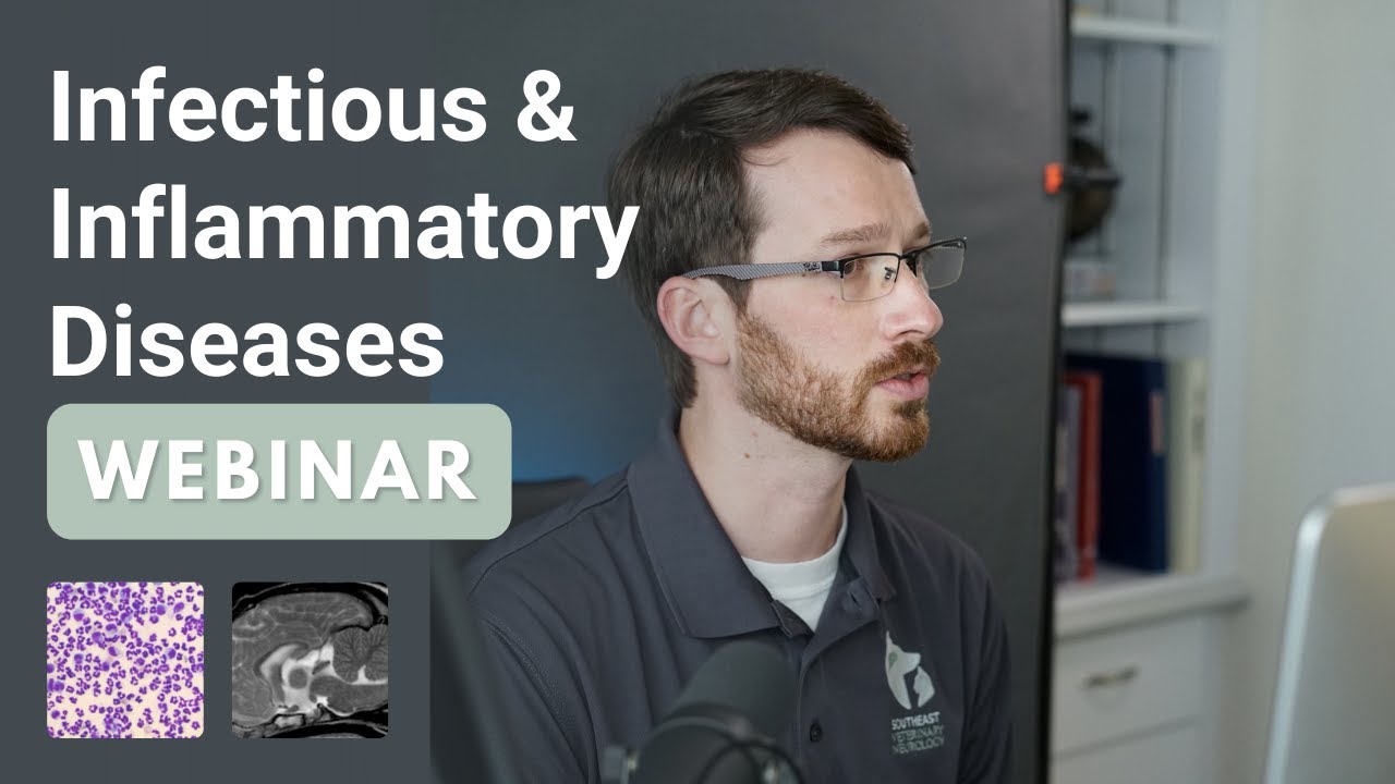 Infectious and Inflammatory Diseases of the Central Nervous System || SEVN Webinar Series