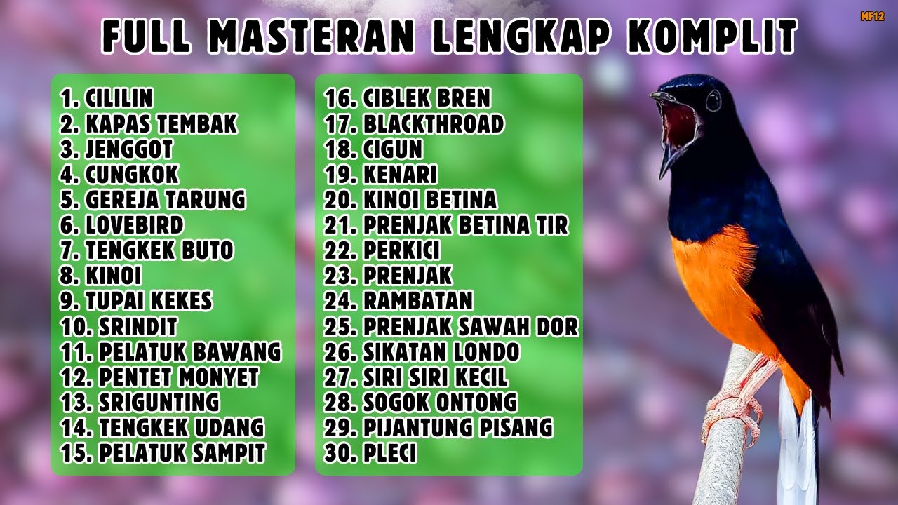 🔴 MASTERAN MURAI BATU PALING KOMPLIT LENGKAP 30 MATERI MEWAH || 856