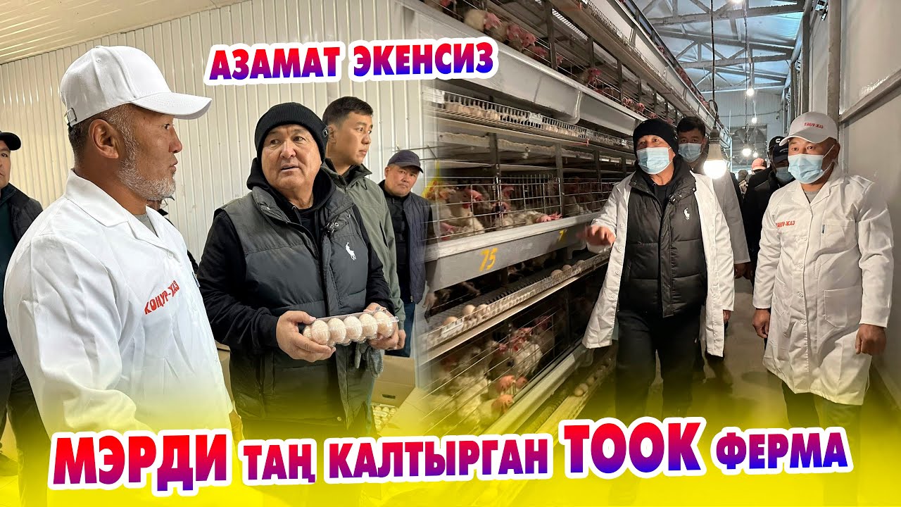 Мэр ТООК фермага кызыгып калды  ~ өз алдынча ТООК фермасын ачууну сунуштады
