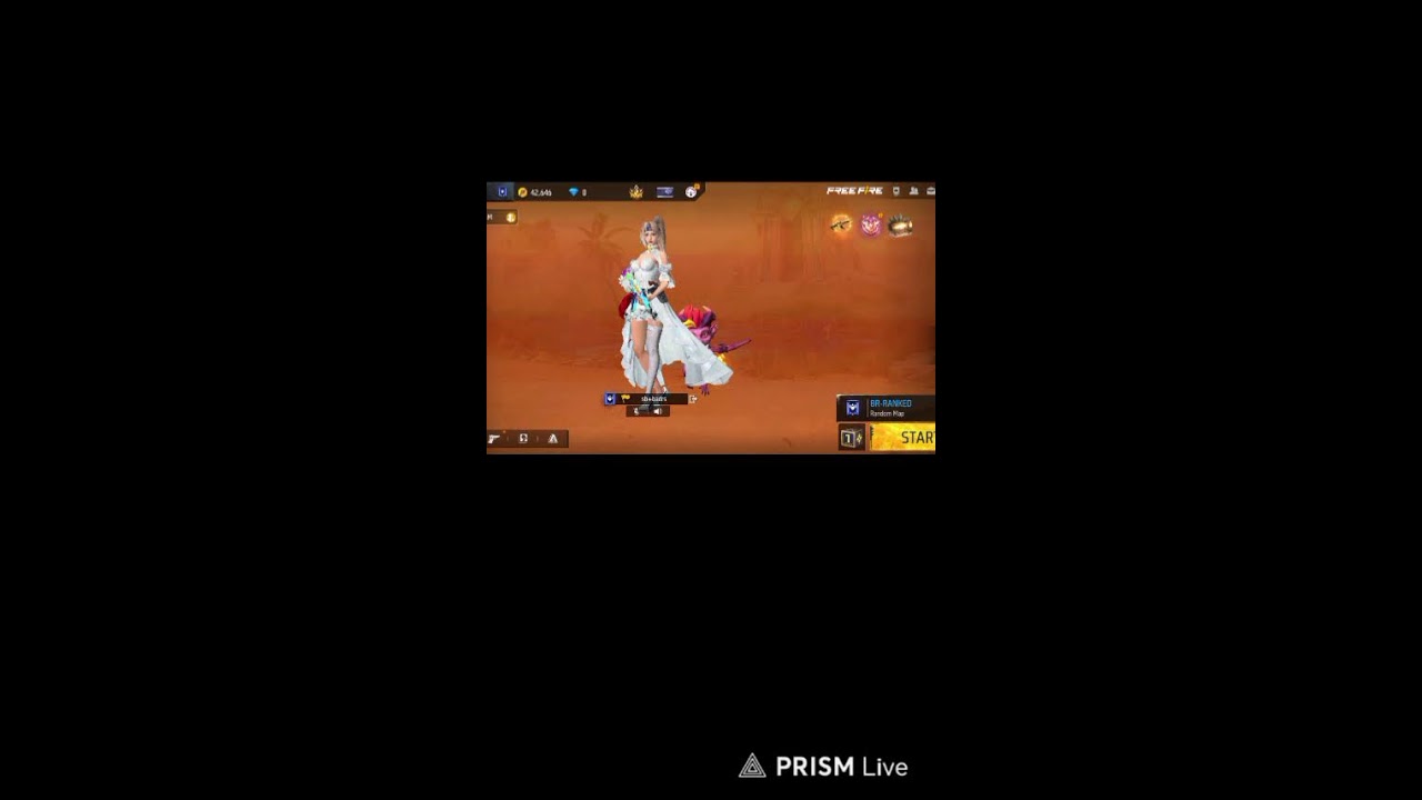 Live streaming of sb brother