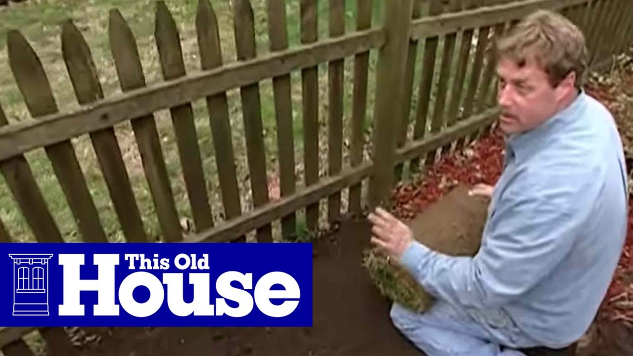 How to Lay Sod | This Old House
