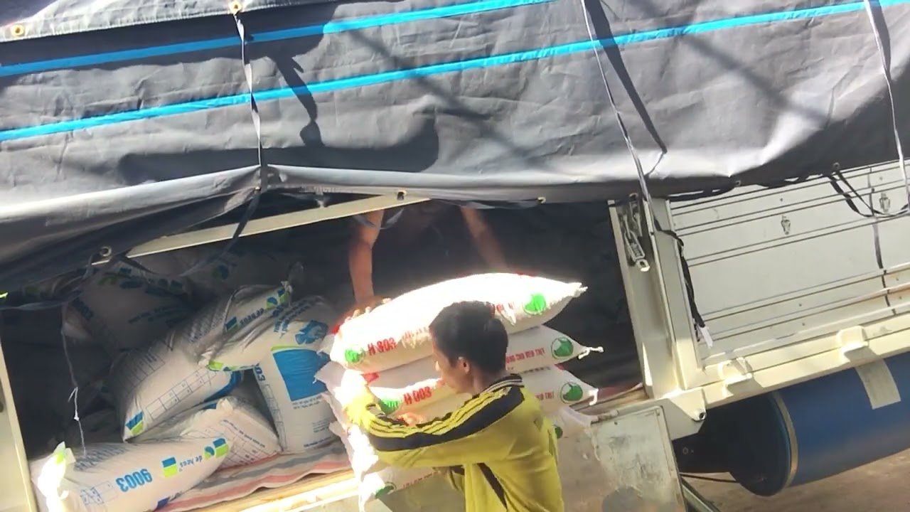 Công việc Ae Hàng Ngày ‘ Bốc Cám Heo 
