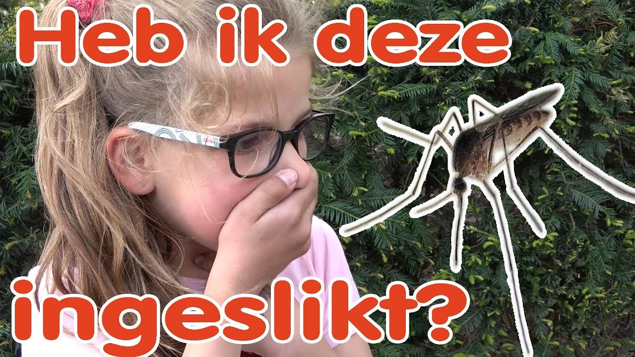 PRETPARK VOL MUGGEN!!! KOETLIFE VLOG