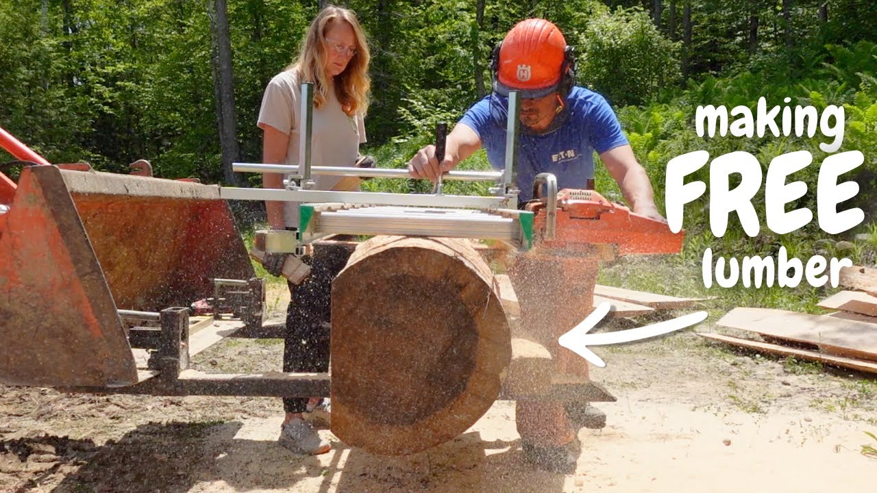 How we're SAVING MONEY around the homestead.