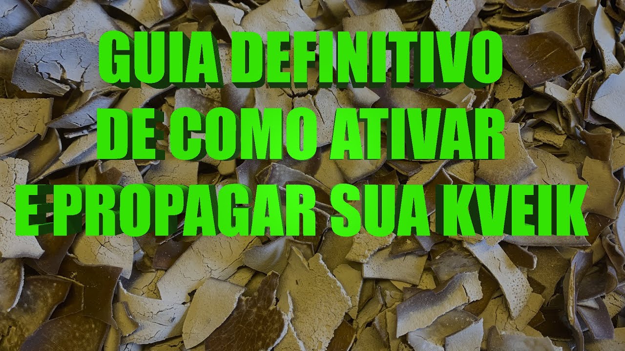 COMO ATIVAR SUAS KVEIKS - O GUIA DEFINITIVO DE ATIVA&Ccedil;&Atilde;O E PROPAGA&Ccedil;&Atilde;O DE KVEIK