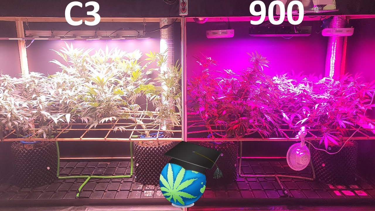 G8 LED Comparison CONCLUSION -2014&rsquo;s 900 Vs 2021&rsquo;s C3