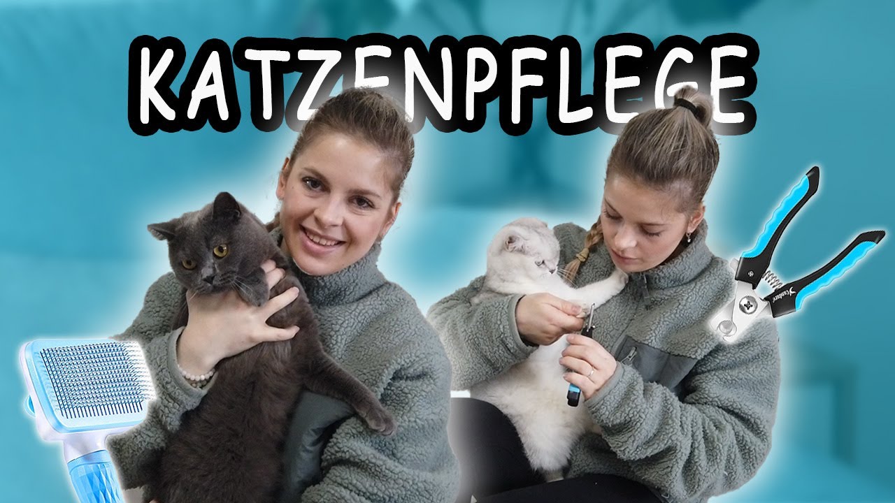Katzenpflege Krallen schneiden und Fell kämmen | TheJulLife