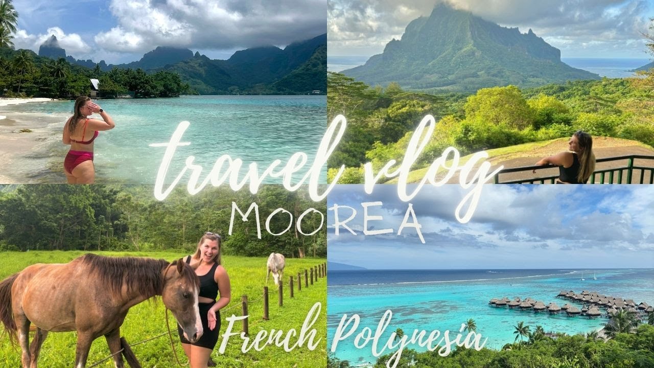 Exploring Moorea: Boat Tour & Swimming With Sharks In French Polynesia