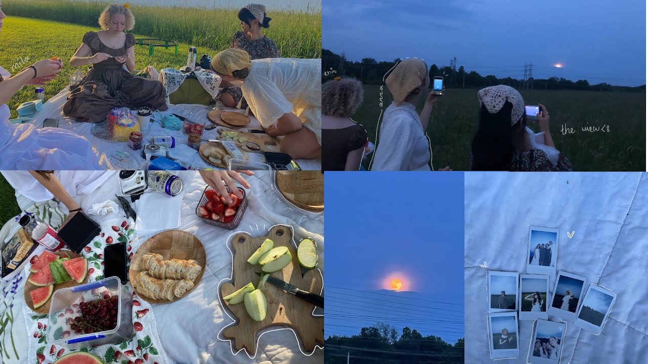 summer vlog (epilogue) | picnics with friends 🧺🌾🌷| a strawberry moon🍓💐