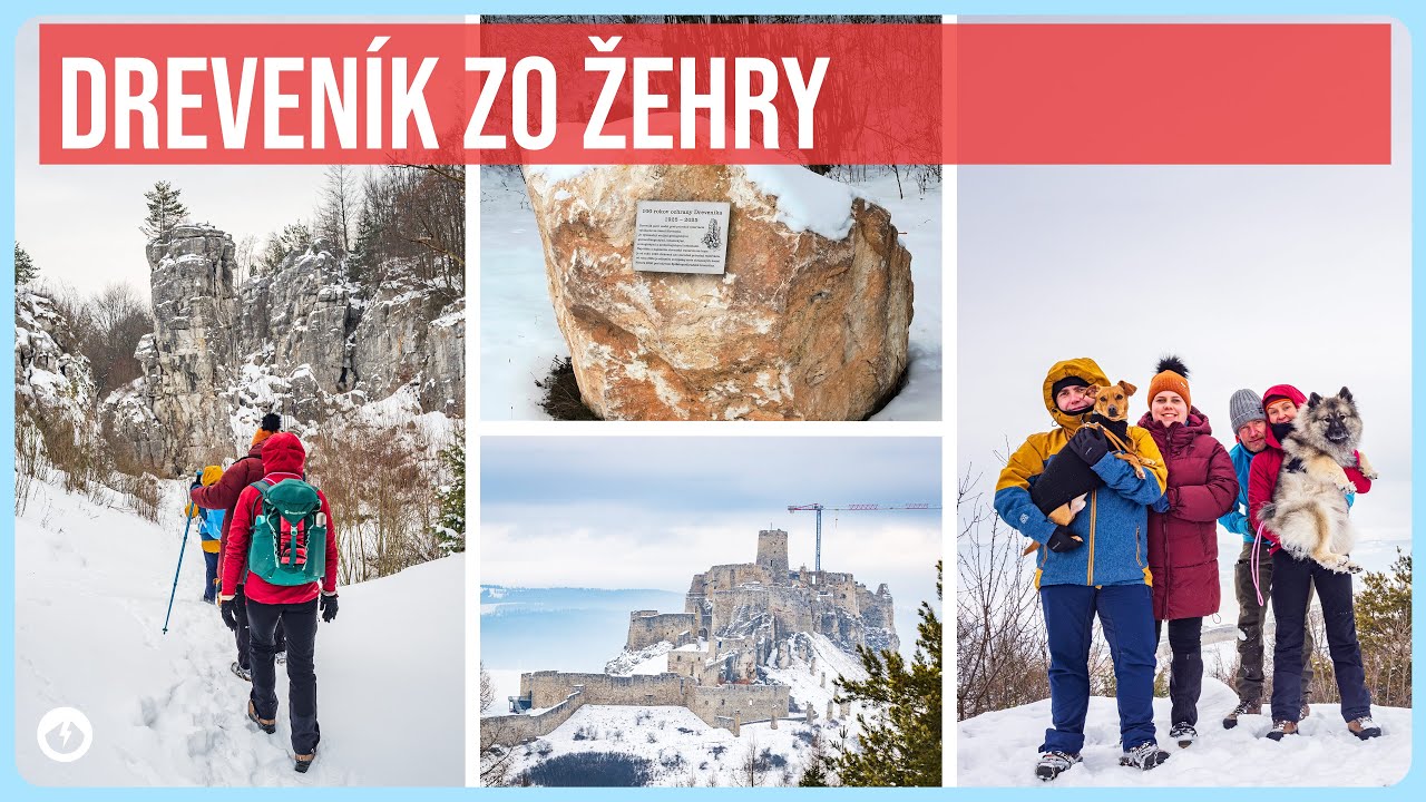 Dreveník zo Žehry