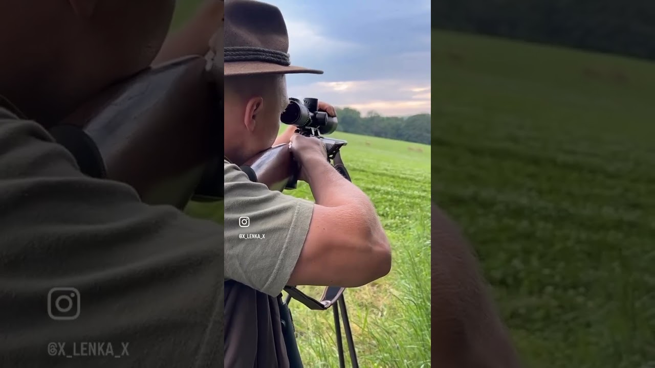 Poľovačka hunting #hunting #hunt #nature #deer #childhood #johny_fisher