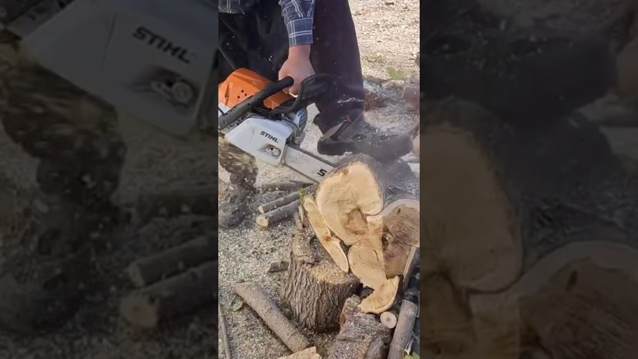 Stihl MS 251 Motorlu Testere #keşfet