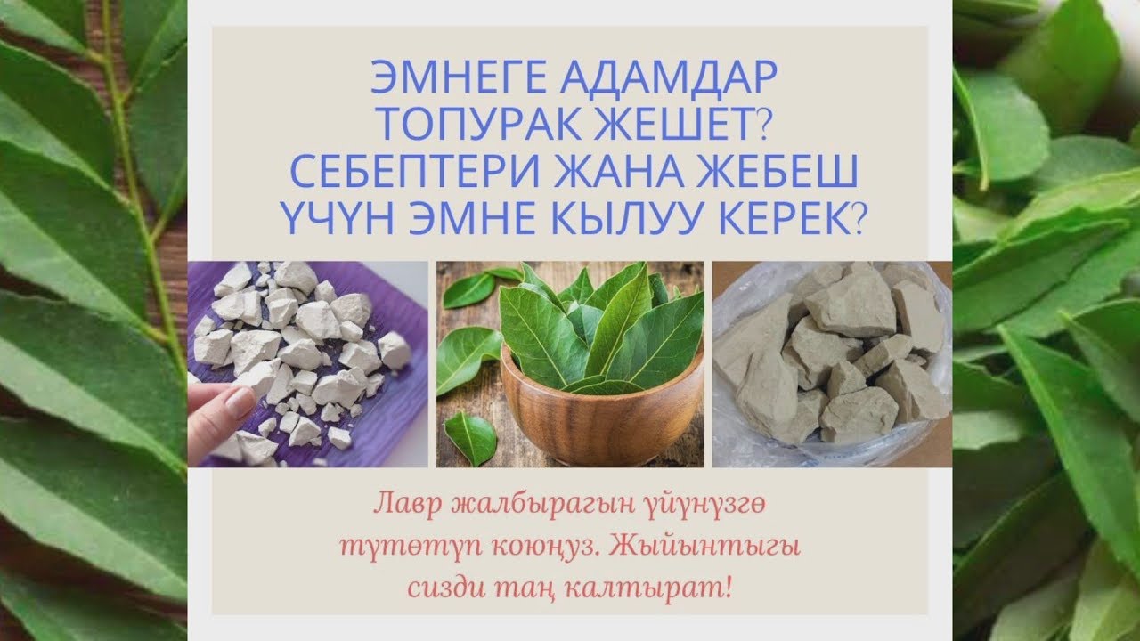 Эмне үчүн адам топурак жегиси келет, лавр жалбырагын үйгө түтөтүп койсоңуз жыйынтыгы сизди таң калты
