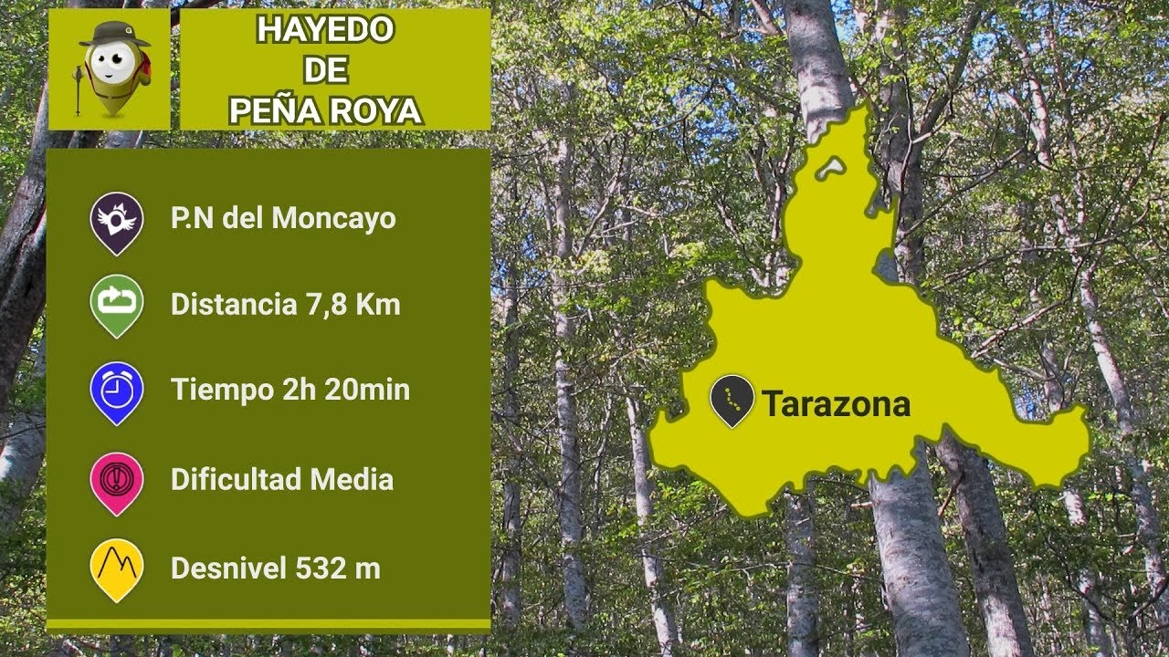 Hayedo de Peña Roya | Rutas de senderismo en Zaragoza