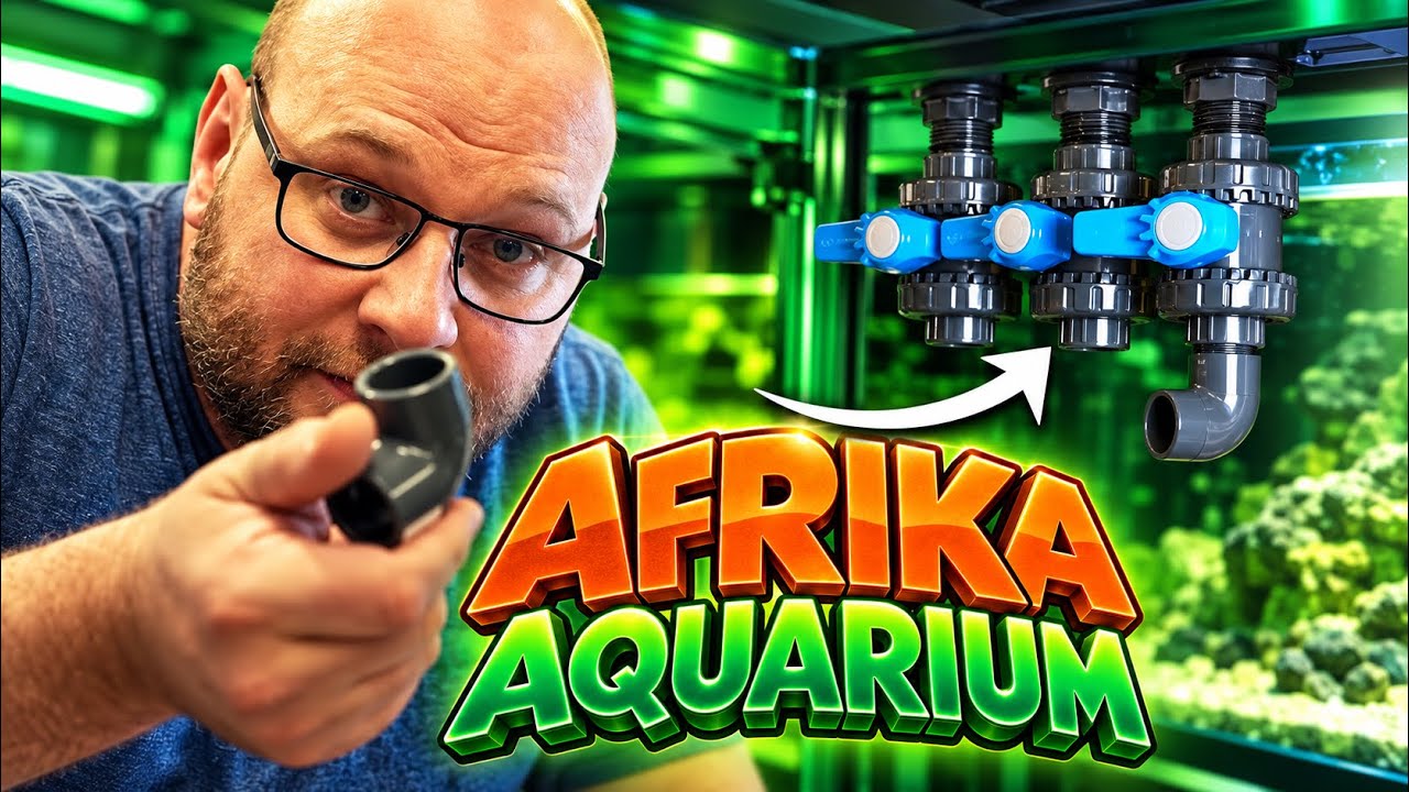 Aquarium gebohrt und verrohrt - AFRIKA AQUARIUM