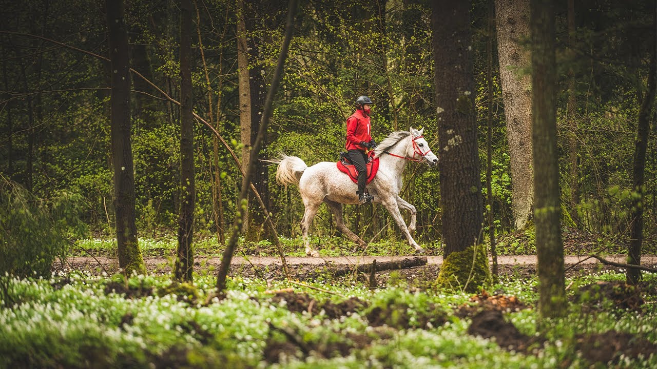 I&scaron;tvermės jojimo varžybos ,,Naujadvario žirgų