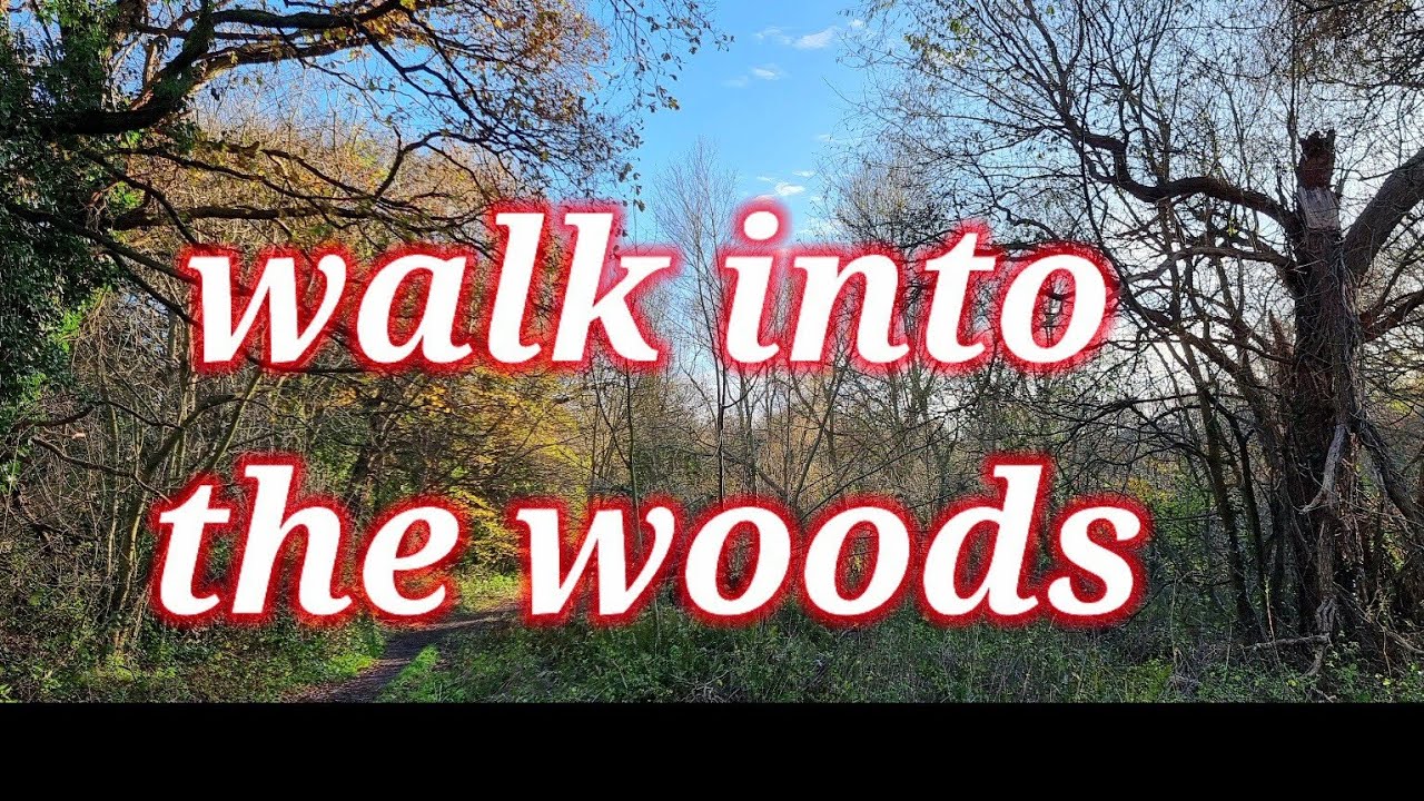 Woodland walk at Dibbnsdale Nature Reserve,  Bromborough, Wirral,  Merseyside,  UK