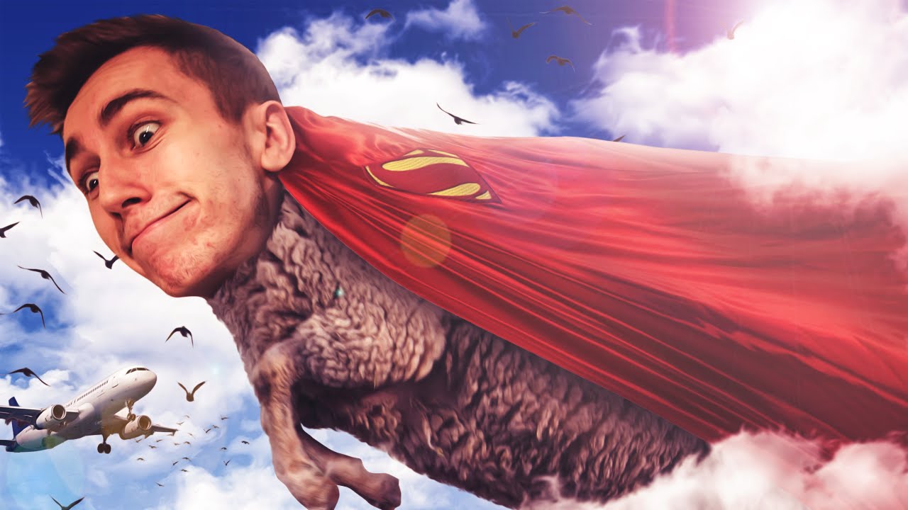 THE ULTIMATE SHEEP!!!
