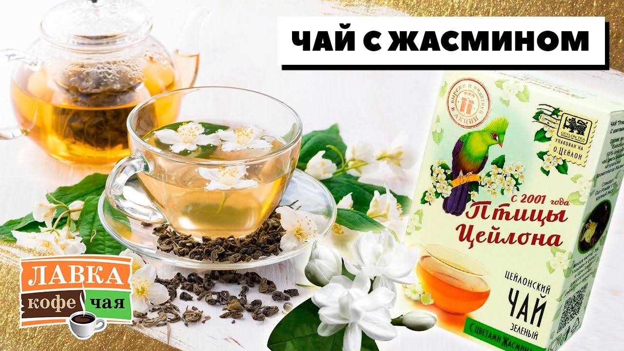 Чай с жасмином - польза и вред антистресс напитка. Пробуем зеленый жасминовый чай 
