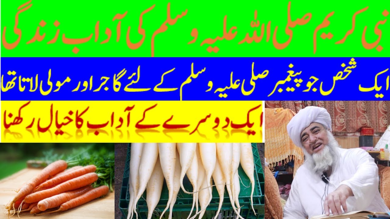 Islami Ki adab e zindagi | Prophet muhammad story by Mufti Zarwali Khan Sahab