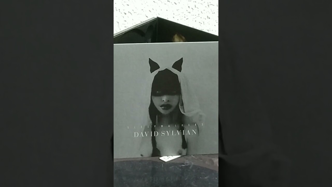 Transit - Fennesz & David Sylvian