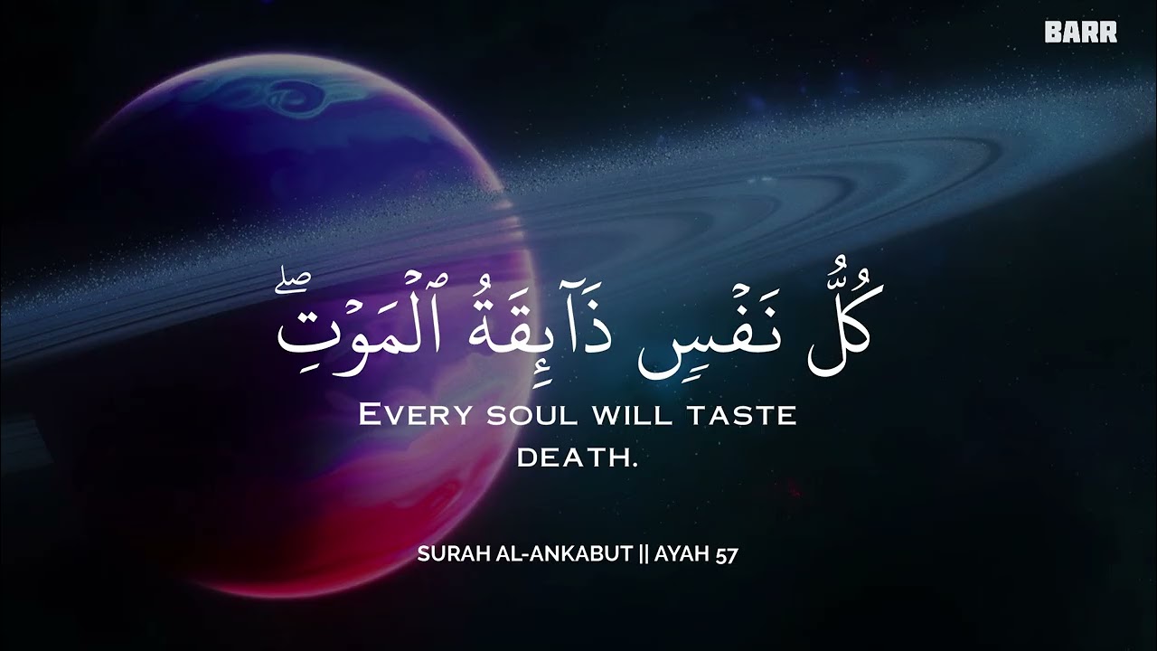 أرح سمعك وقلبك بالقرآن - تلاوة تقشعر لها الأبدان بصوت محمد هشام | Mohamed Hesham | ❤️🎧