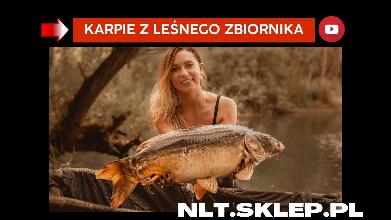 Karpie z leśnej wody - NLT.SKLEP.PL