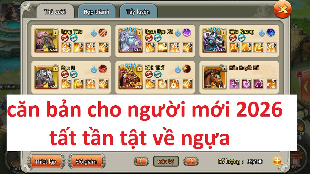 căn bản cho người mới 2026 tất tần tật về ngựa