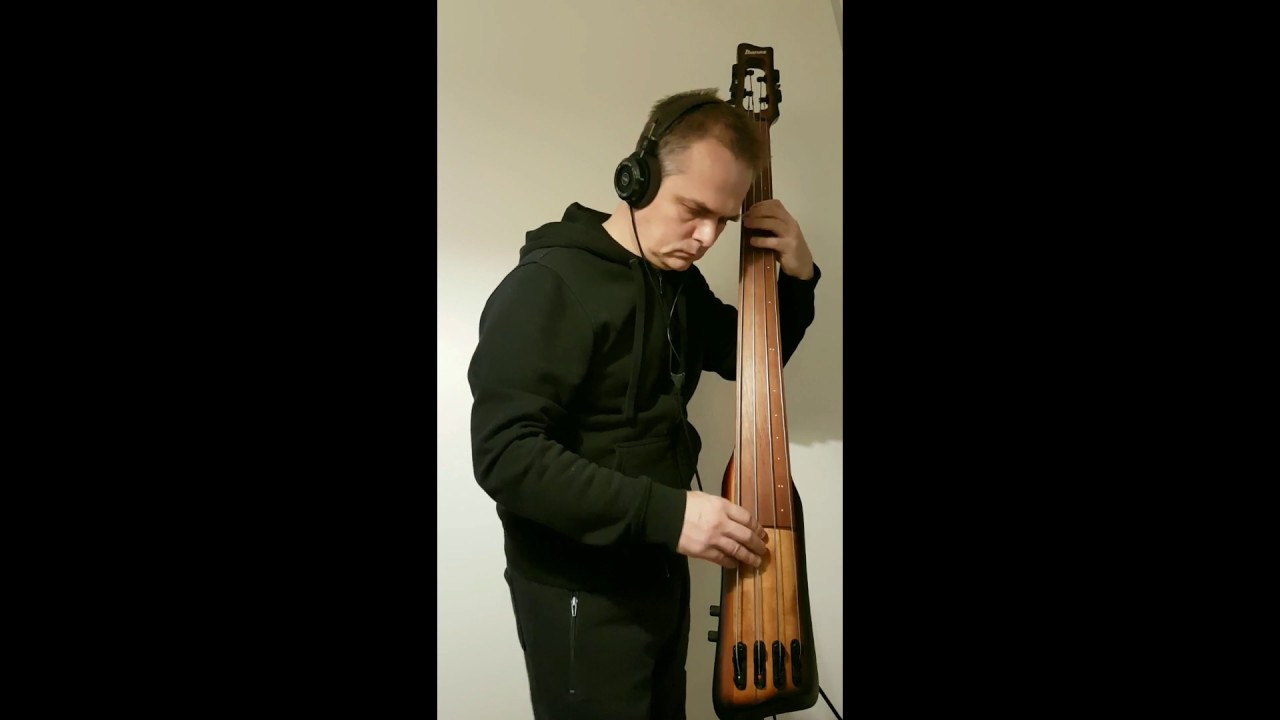 Windows in my life - IBANEZ UB804 Upright Bass
