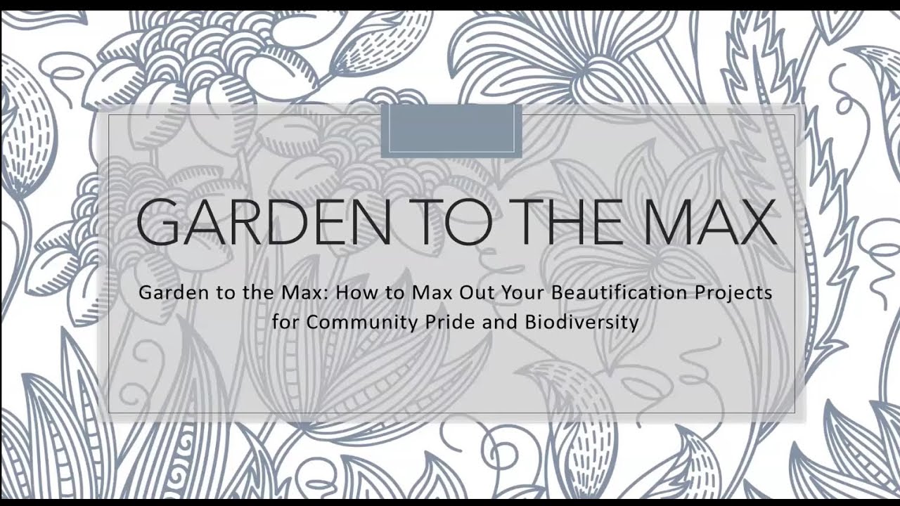 Garden to the Max: How to Max Out Your Beautification Projects for Community Pride and Biodiversity