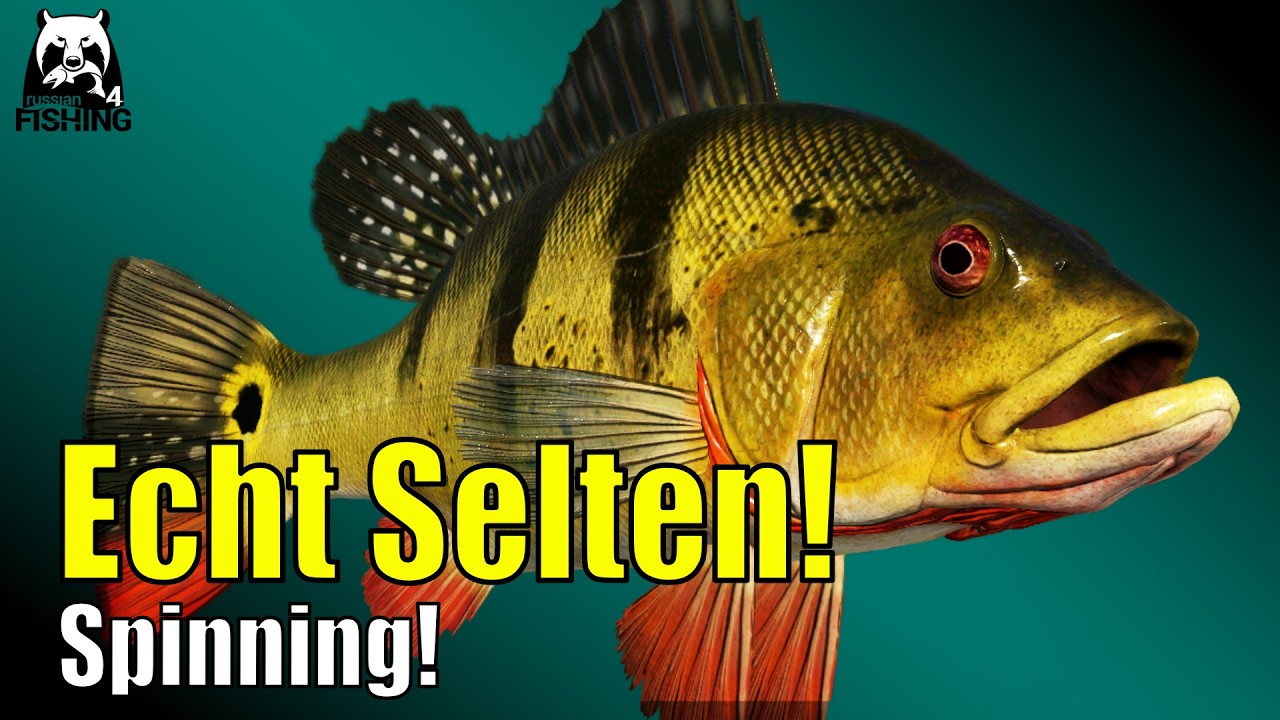 Echt selten! Augenfleckenkammbarsch! - Russian Fishing 4 - Elk Lake  #rf4 Spinning