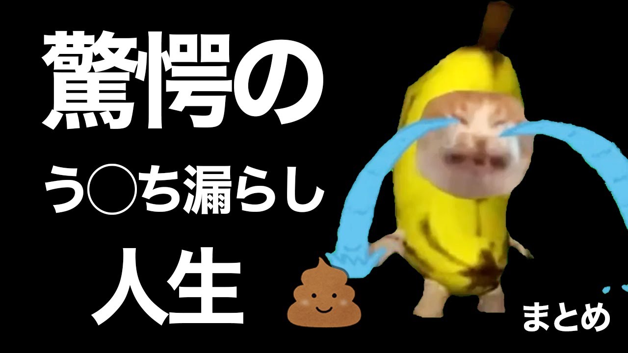 人生の大事な場面でう◯ち漏らした瞬間まとめてみたwww　【総編集】　最後におまけあり　#猫ミーム #猫マニ