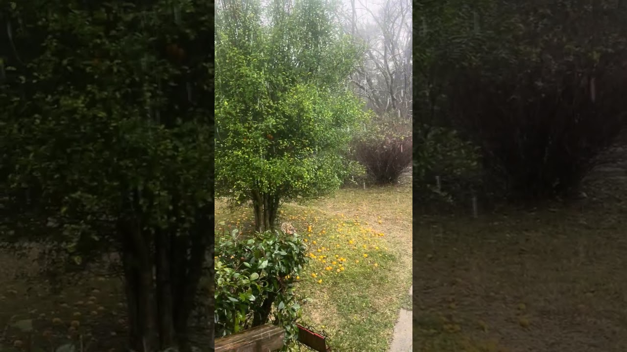 First rain of 2026 much needed 