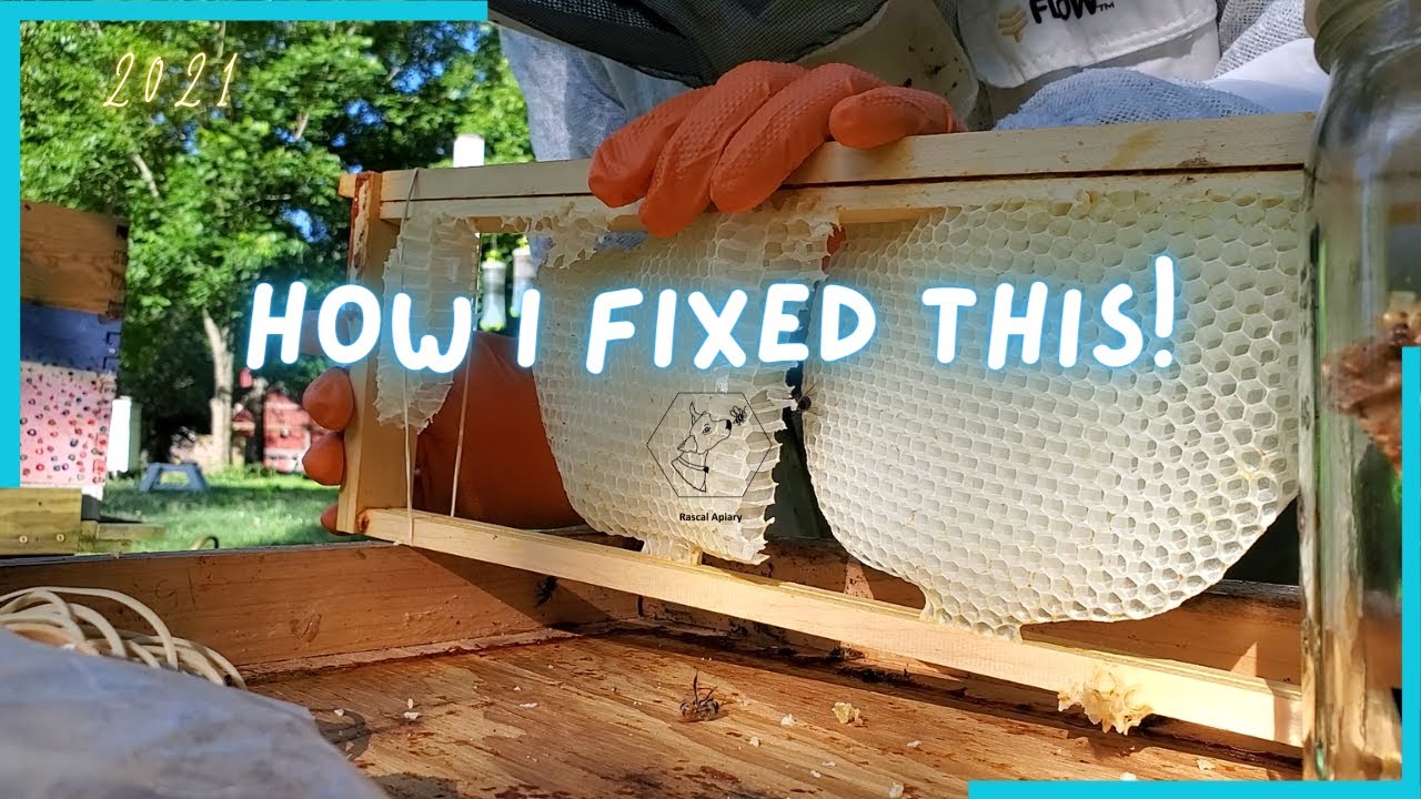How I fixed THIS!