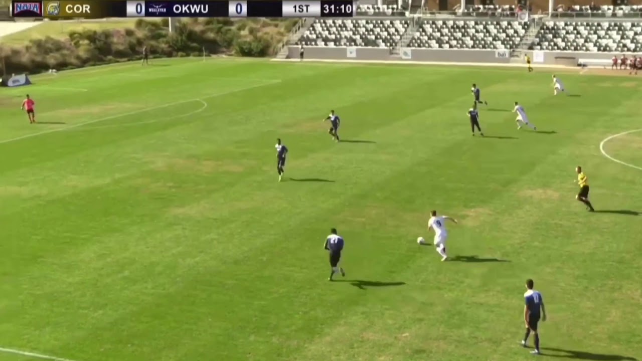 Stefan Ceca Cvetanovic 2018/19 Highlights