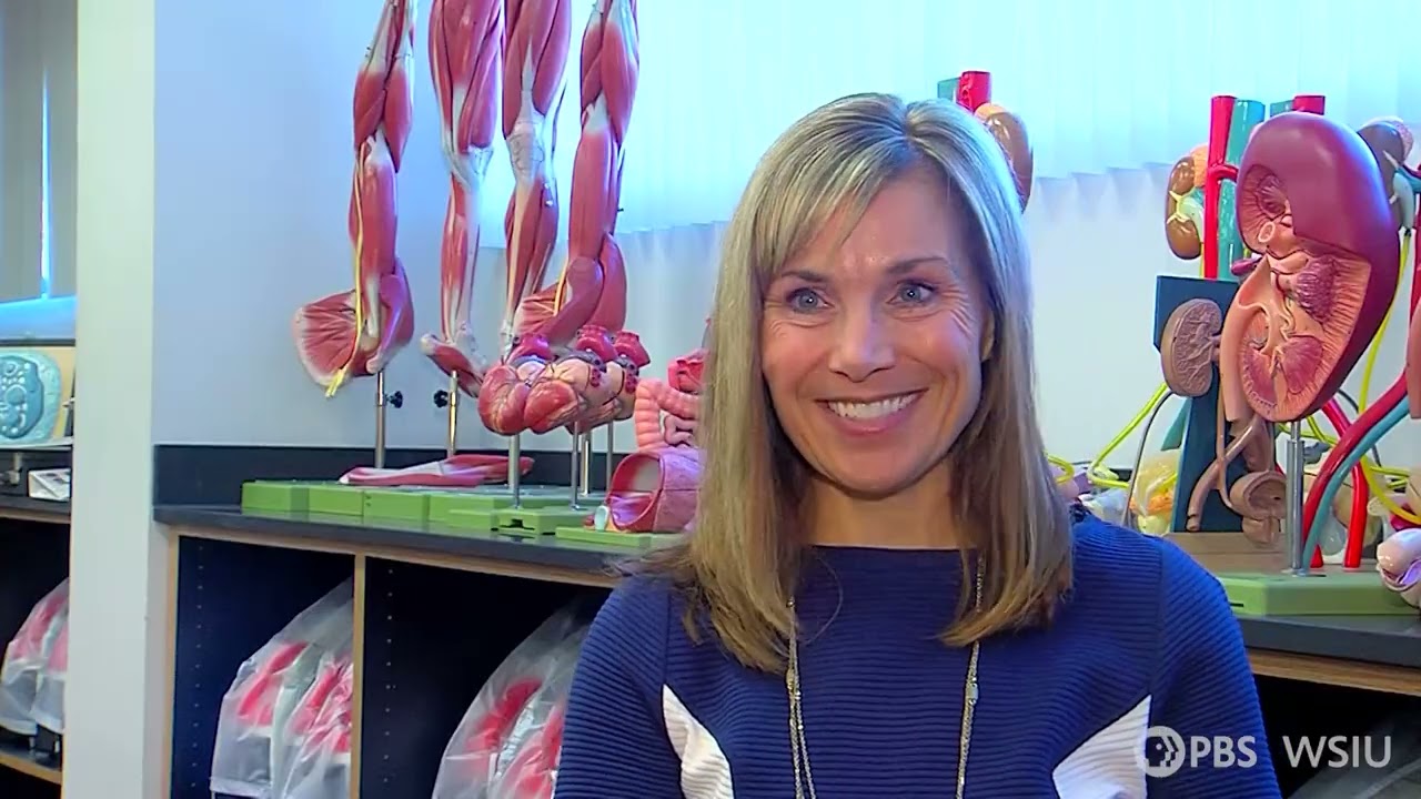 InFocus 325 | Synthetic Cadaver Segment